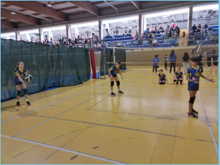 Volley.S3.Saronno.30.04.2023 (31).jpg